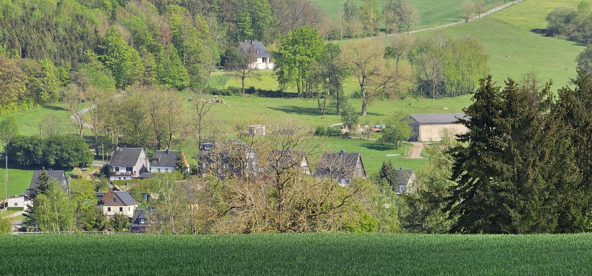 Ferienhaus-Wurzbach Exterior photo